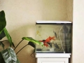 One-bedroom-separate-kitchen-bathroom-4-Luolong-District